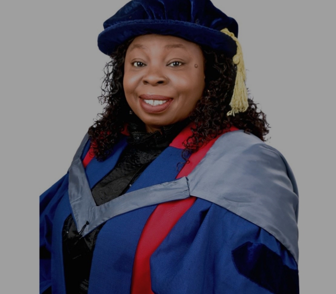 AI Must Not Replace Human Judgment in Arbitration, OAU Don Warns