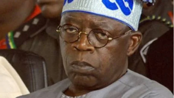 Millions of Nigerians made Buhari President, not you alone – Presidency replies Tinubu