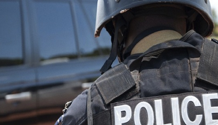 After killing of 16 members, Ogun Police Arrest 22 Cultists in 48 hours