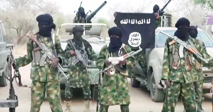 Task force neutralises 17 Boko Haram/ISWAP members in Borno, Adamawa