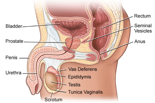 Over 65% Nigerian men aged 40 risks erectile dysfunction - Expert