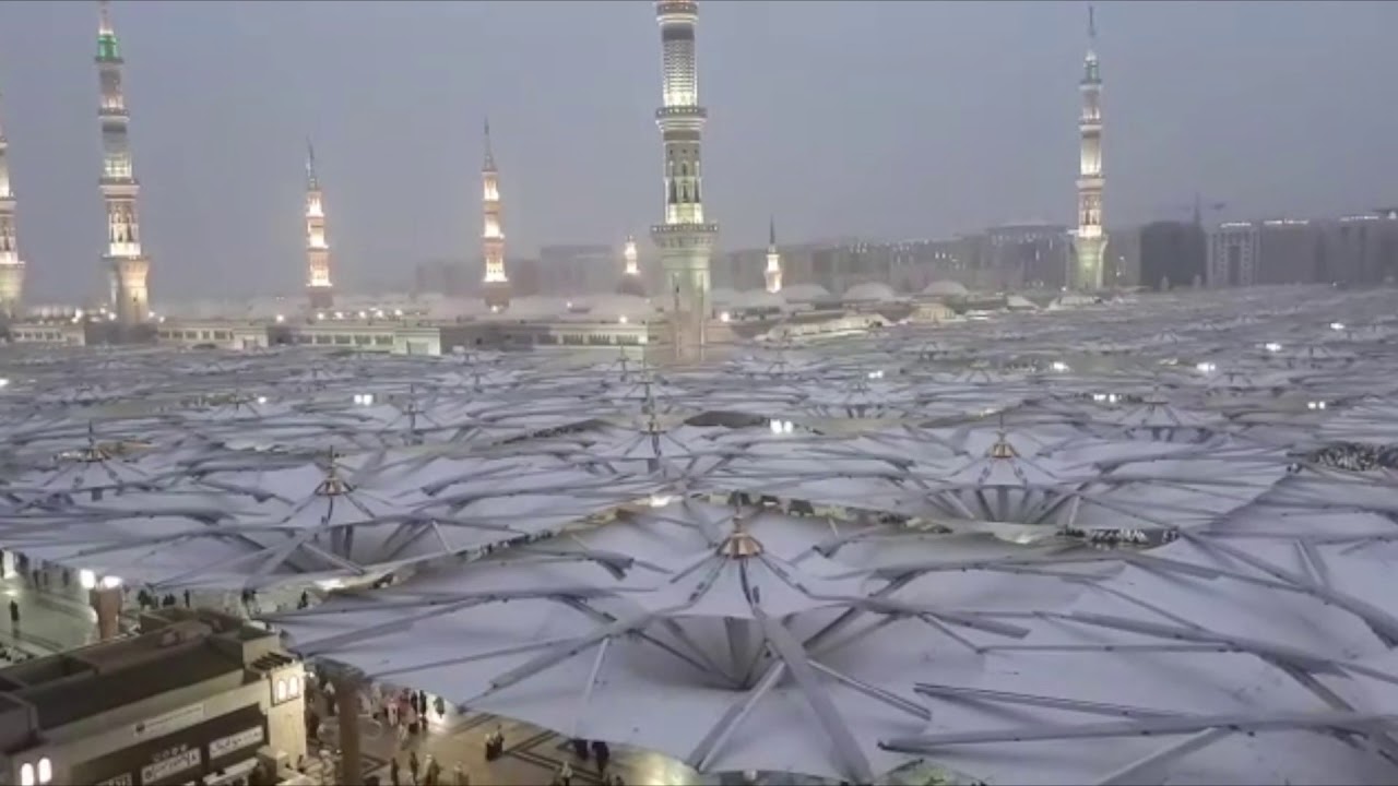 2023 hajj: Prophet’s Mosque receives 4.3m worshippers in one week